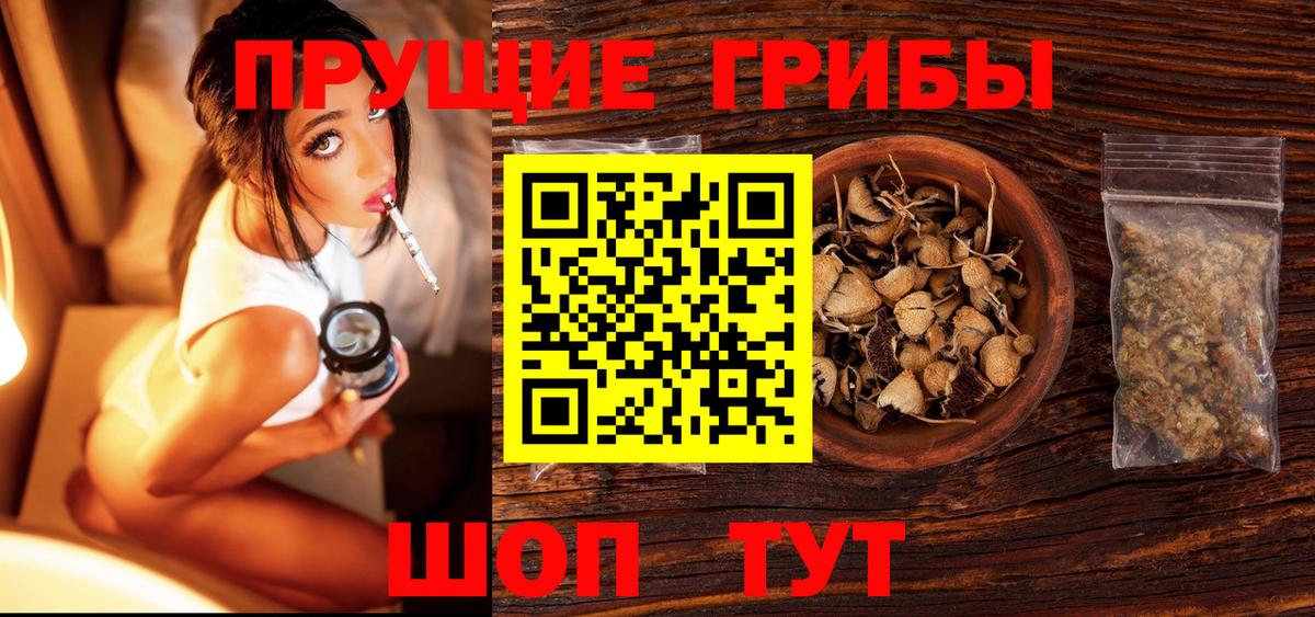 Знаменск  Псилоцибиновые грибы MAGIC MUSHROOMS  Вход с VPN 